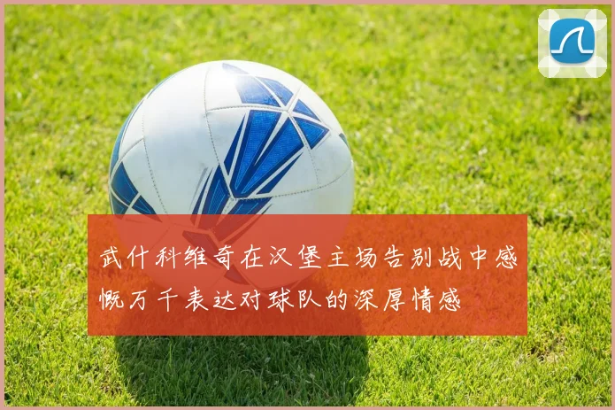 武什科维奇在汉堡主场告别战中感慨万千表达对球队的深厚情感