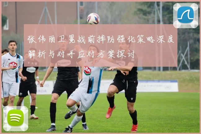 张伟丽卫冕战前摔防强化策略深度解析与对手应对方案探讨