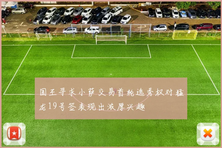 国王寻求小萨交易首轮选秀权对猛龙19号签表现出浓厚兴趣