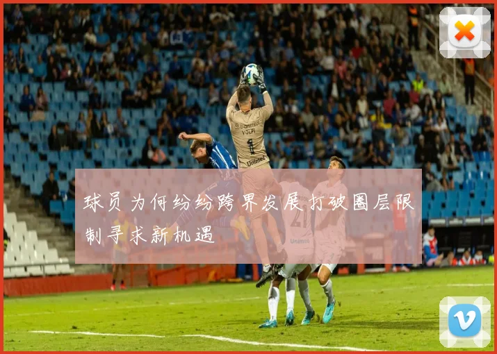 球员为何纷纷跨界发展打破圈层限制寻求新机遇